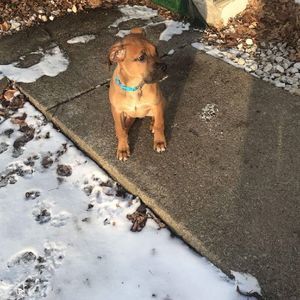 Meet your Posher, Kimberly